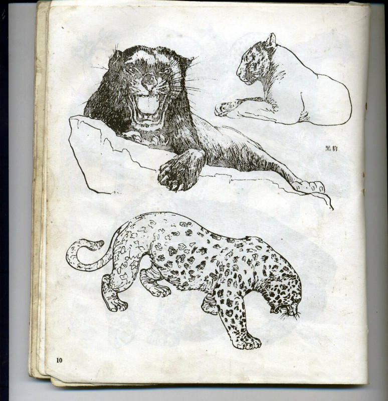 一百幅动物素描,近百幅动物画
