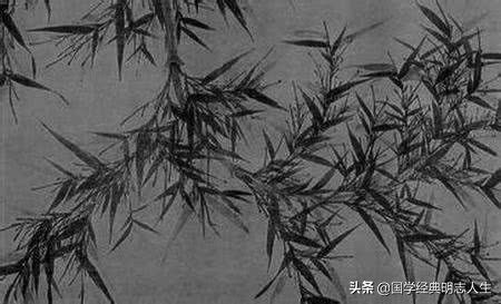 有成语典故的故事大全,成语典故故事大全100篇