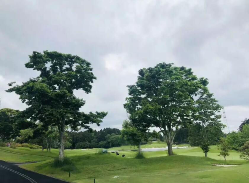 游记｜来自香港、上海、深圳的7位贵宾：挥杆关东世界百佳...