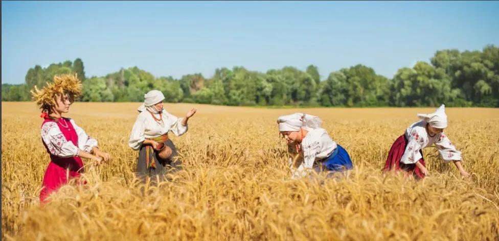 乌克兰100元能买到什么东西,乌克兰有那么多钱吗