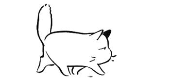 十堰市茅箭区赶集时间,十堰茅箭区约会