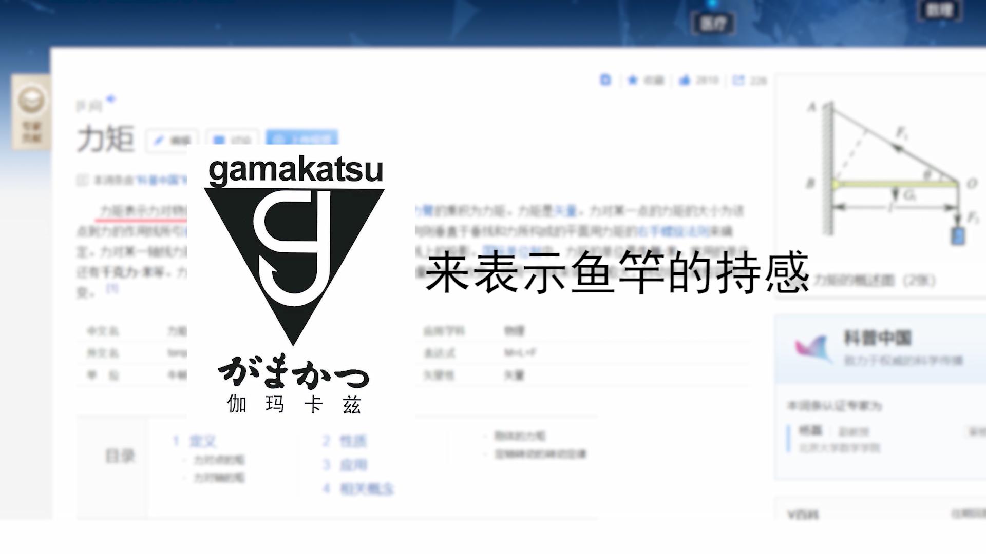 香港怡龙鱼竿和宝飞龙鱼竿哪个好,宝飞龙鱼竿飞龙将军评测视频