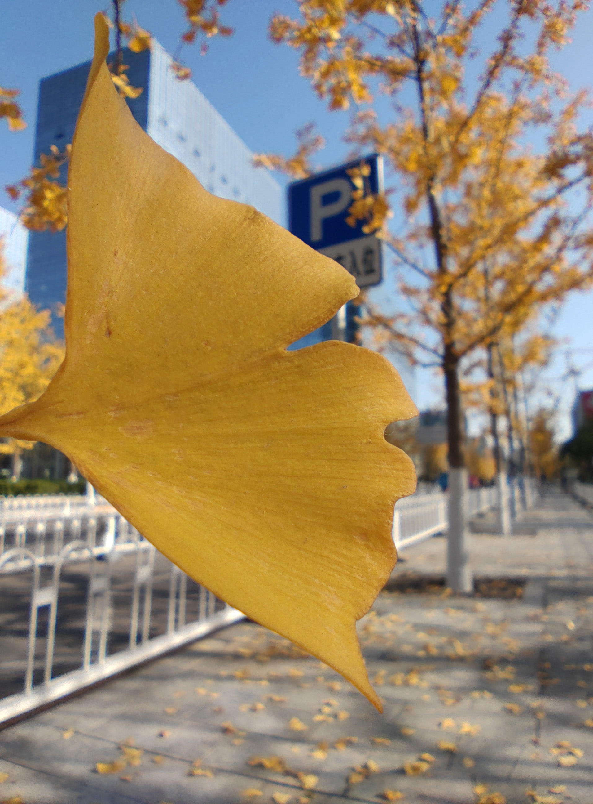 坚果pro3使用感受,不谈情怀只看产品坚果pro3轻体验