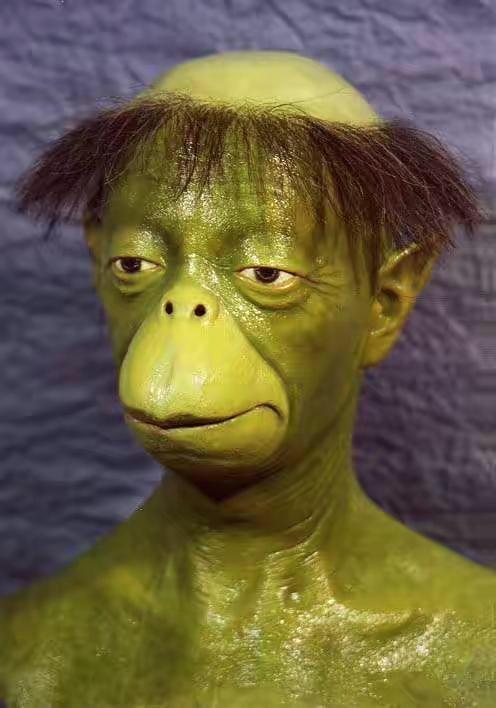 1991年日本河童现身,1991年日本河童上岸视频曝光