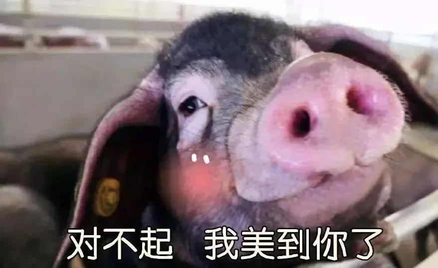 欧阳娜娜戚薇综艺发型,欧阳娜娜清纯可爱