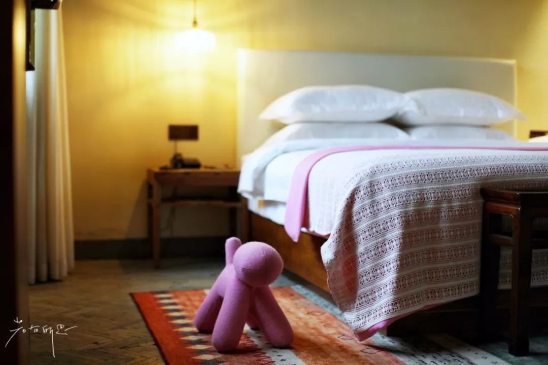 三月赏花一日游上海景点,本月上海赏花一日游最佳去处