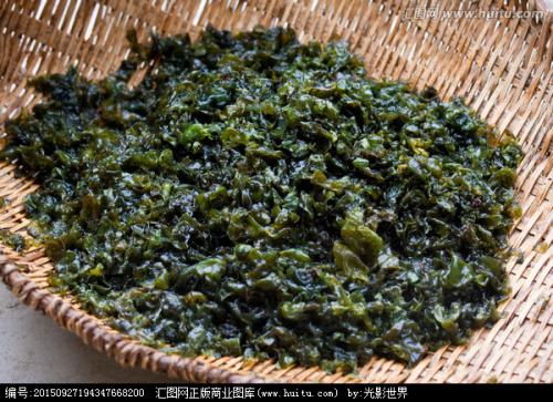 小时候常见又叫不上名的动植物，你们老家怎么说？满满的童年回忆