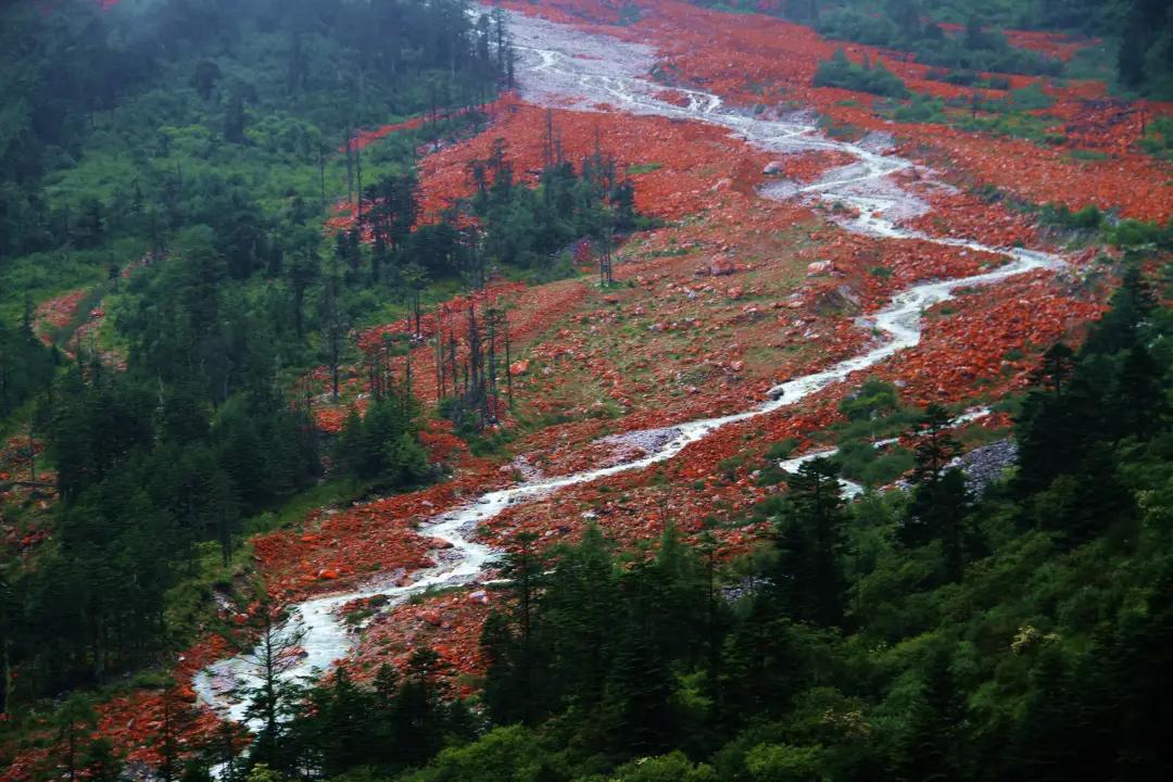 川西泡温泉看雪景,川西12月份最佳雪景泡温泉的地方