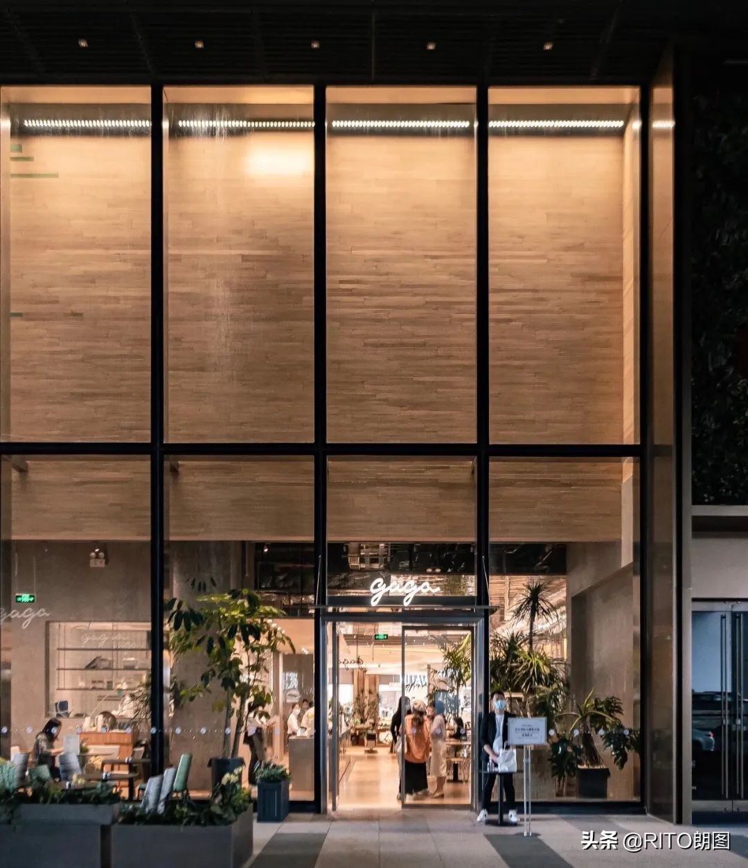 gaga鲜语商业模式,gaga鲜语的工作餐怎么样