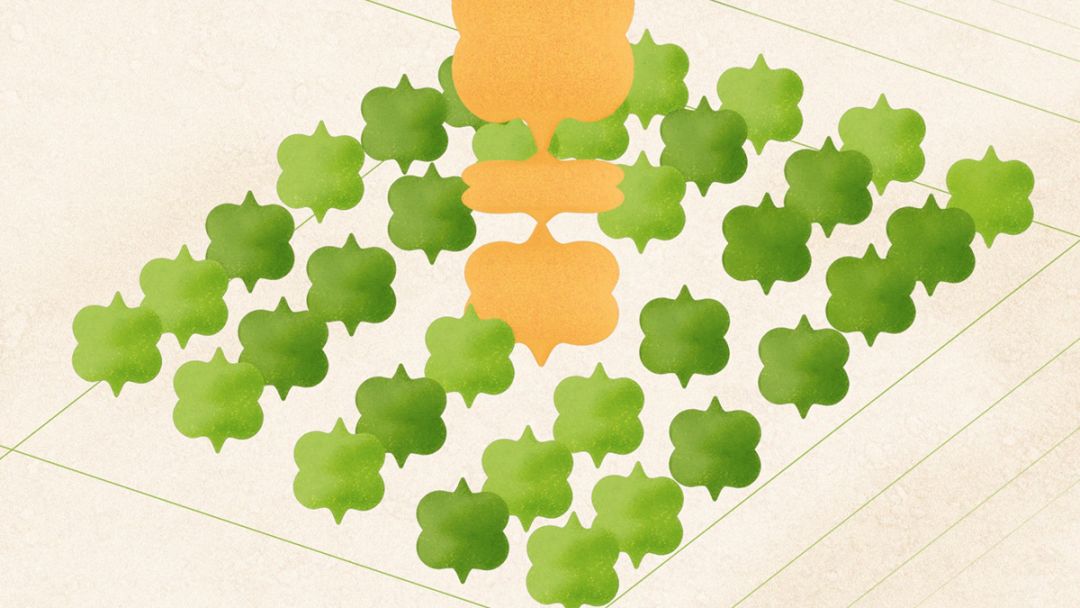 结婚请柬全书,结婚请柬设计模板电子