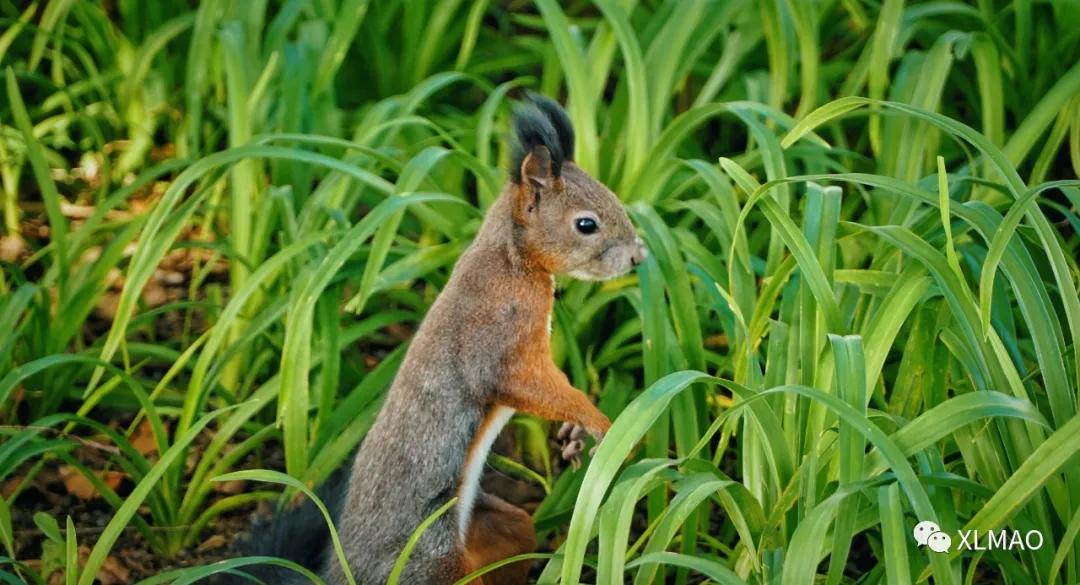 摄影爱好者的拍摄题材,一名业余摄影爱好者的简介