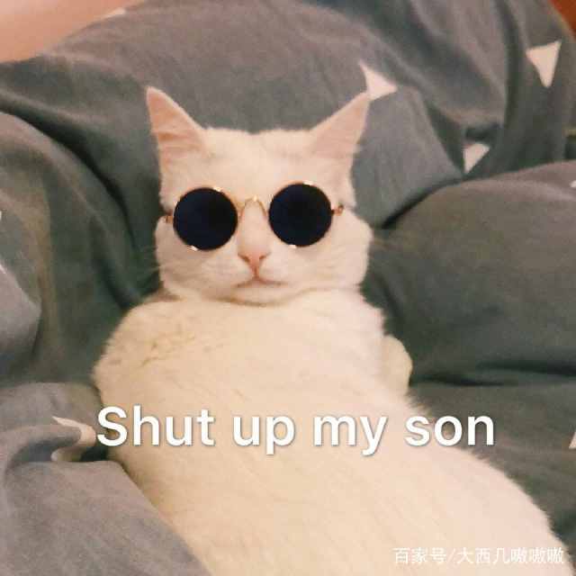 表情包我能怎么办呢,表情包我怎么找不到你了