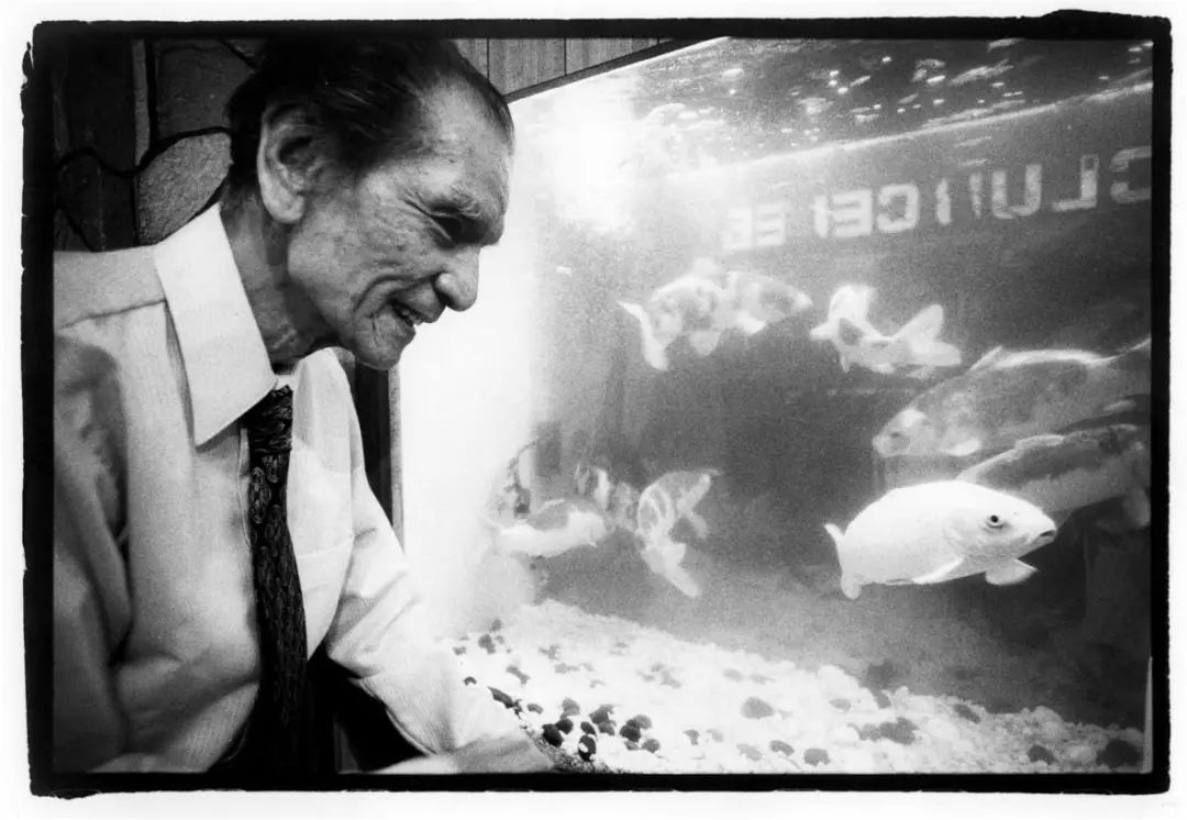 怎么样零基础学水彩,自学成为画家的人