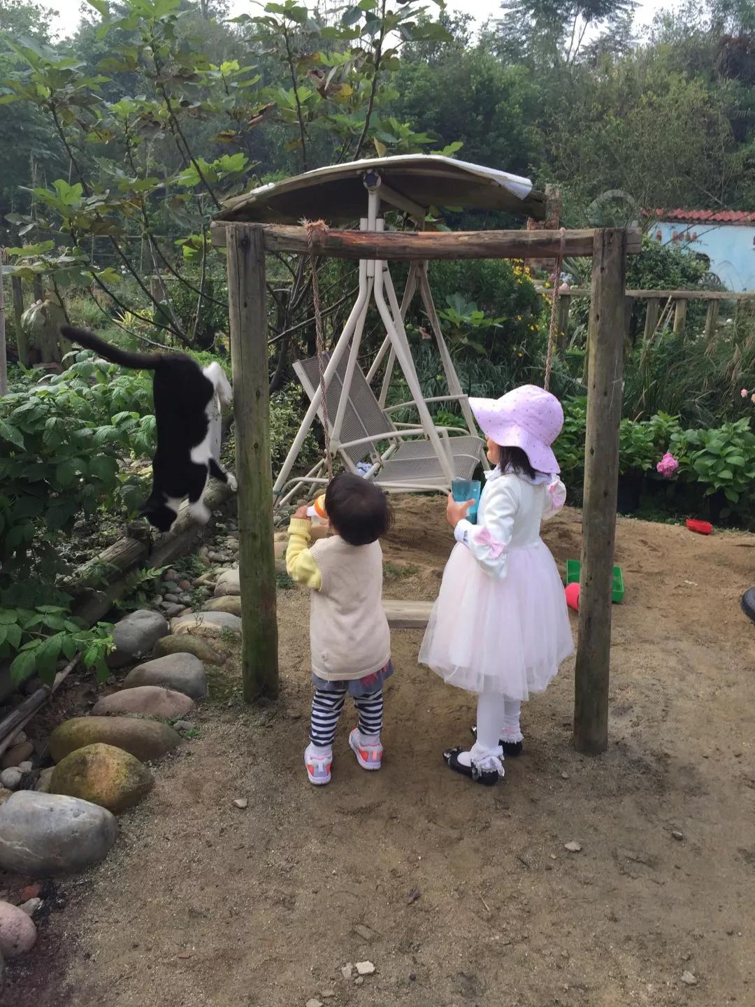 建一座完全不打药的生态花园,所有生命在这里和谐共处,值得收藏