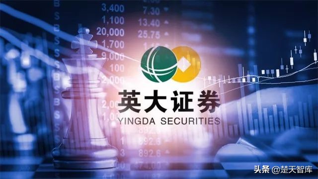 国网英大如何上市的,英大集团上市公司