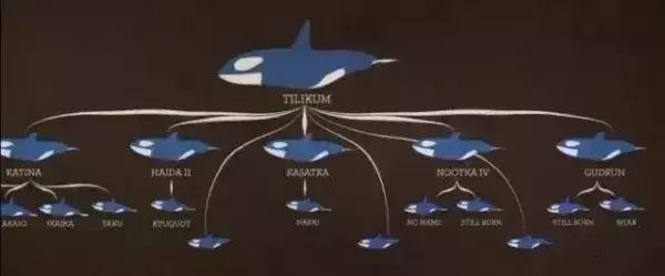 被囚34年取精，被迫亲手杀死爱子，最后只能挣扎着死去……
