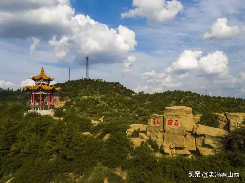 山西忻州静乐天地藜麦,山西静乐县杂粮