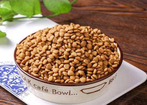 阿拉斯加成犬食欲不振