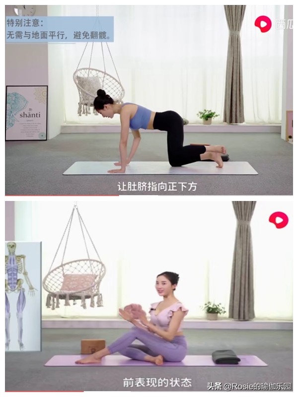 大腿比头还粗,你确定要胖罐子胖摔?肥宅逆袭只差这一步