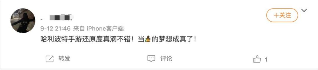 网易的哈利波特怎么没有限制,网易哈利波特魔法觉醒停服了