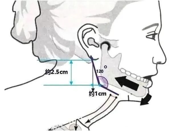 如何拥有完美的下颌线,怎么拥有好看的下颌