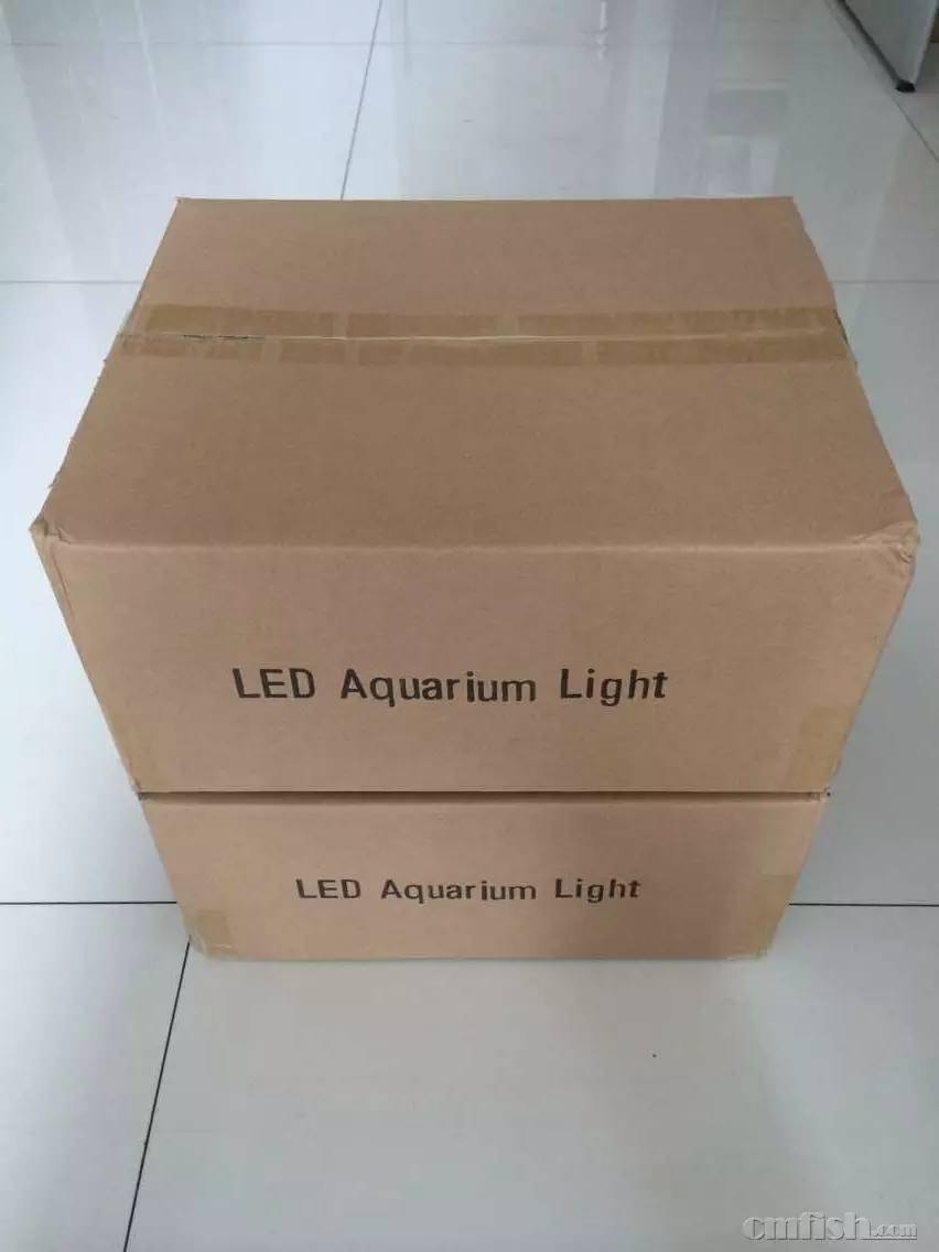 KELO钜彩照明LED水族灯试用活动鱼友评测详情（二）