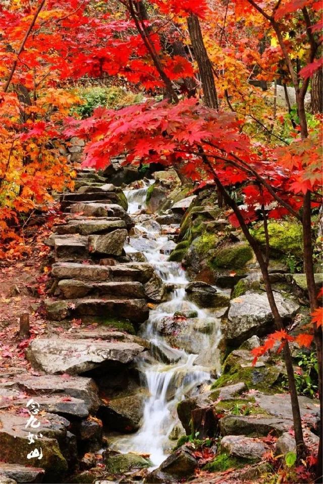 济南旅游景点推荐带孩子玩,济南旅游景点推荐适合带孩子