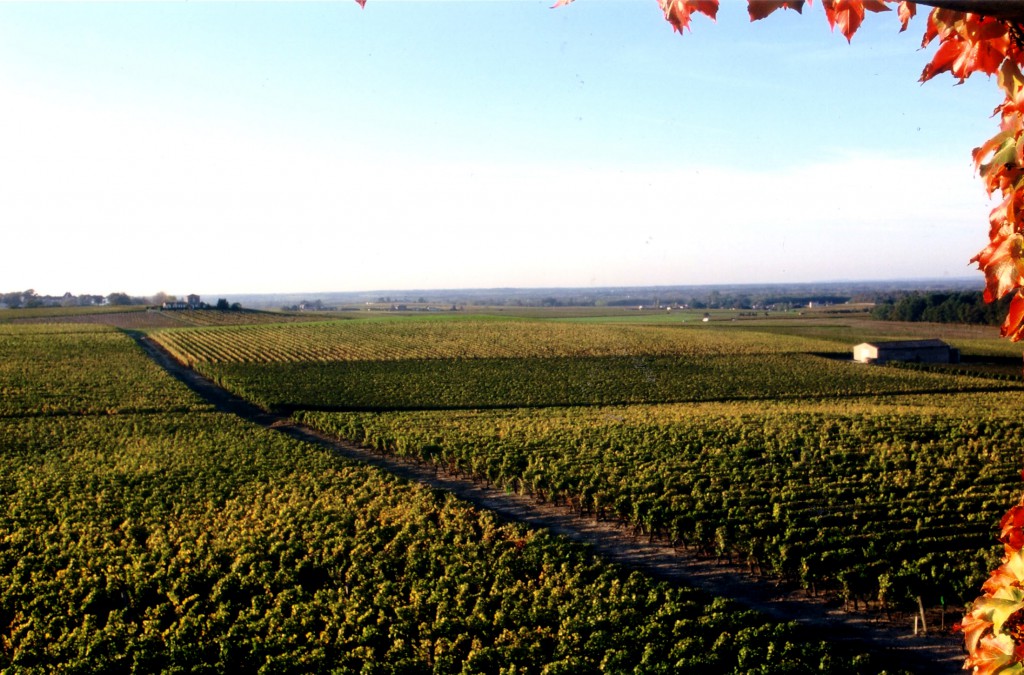 拉菲罗斯柴尔德集团,你知道拉菲集团吗