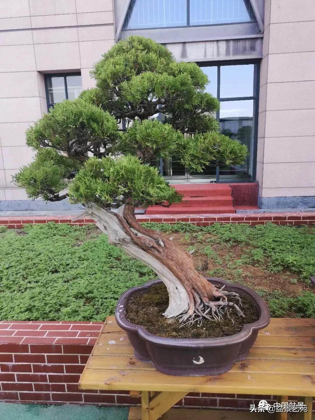 涓浗钁楀悕鐩嗘櫙澶у笀绮惧搧鐩嗘櫙,鐩嗘櫙鑹烘湳瀹跺拰鐩嗘櫙鑹烘湳澶у笀