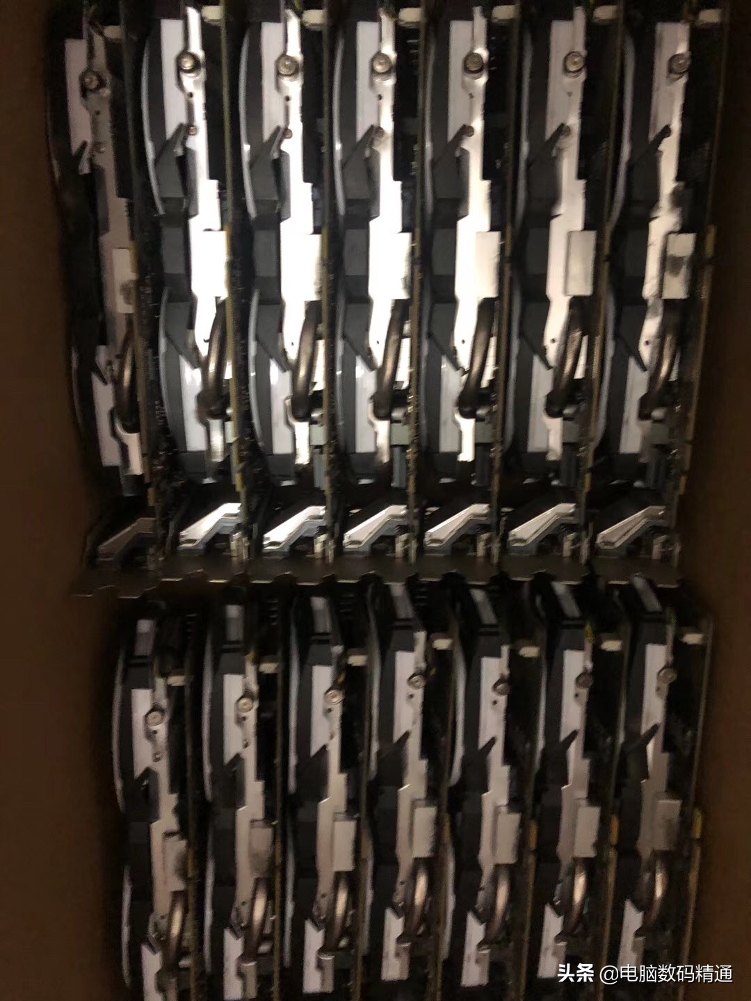 显卡贩子说各类显卡200元一个就看你有没有胆子要，我腿吓软了