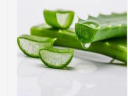 名门泽佳芦荟胶,名门泽佳丰盈紧致精华