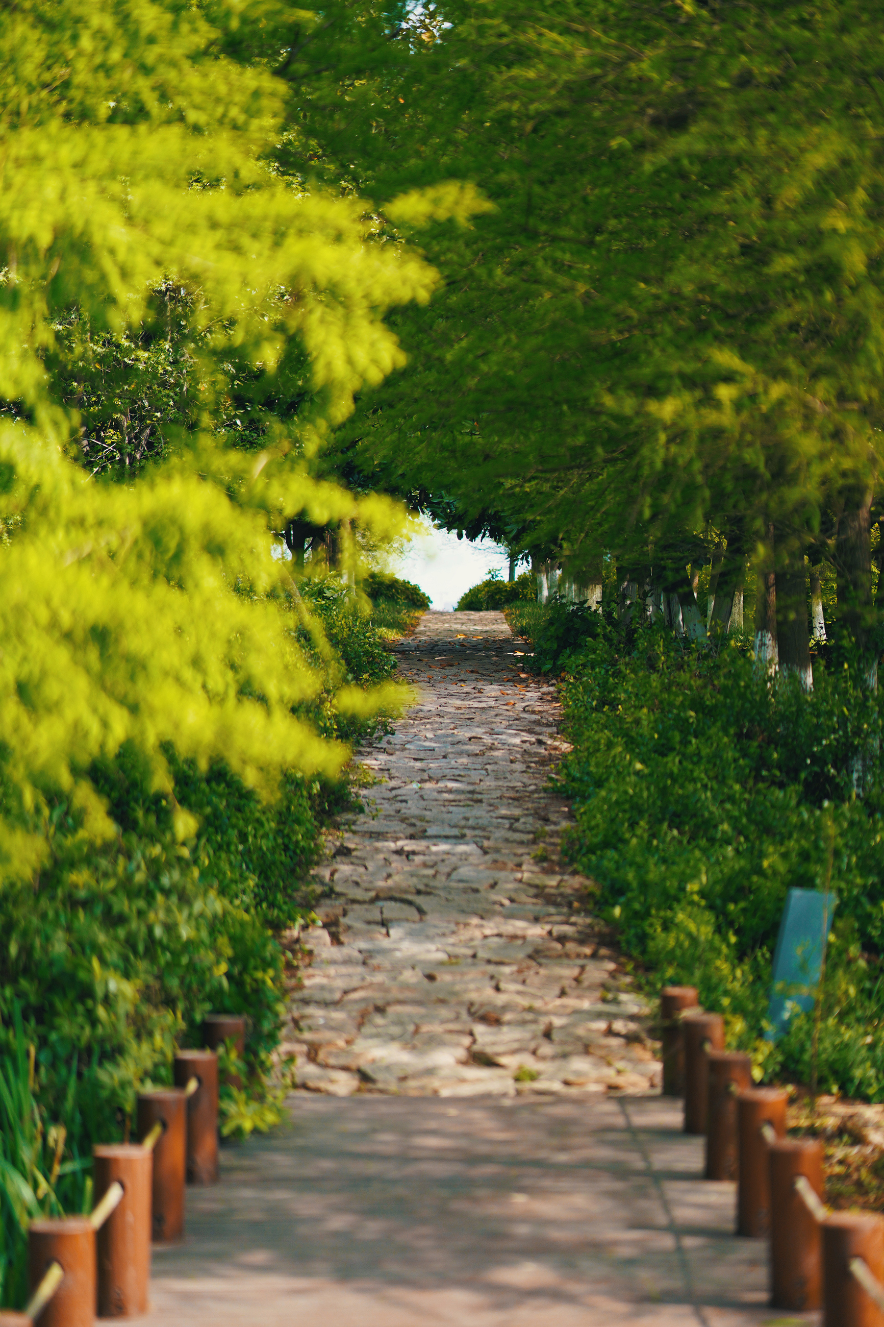 送你一份最地道的苏州逛吃攻略,苏州便宜又好看的民宿推荐