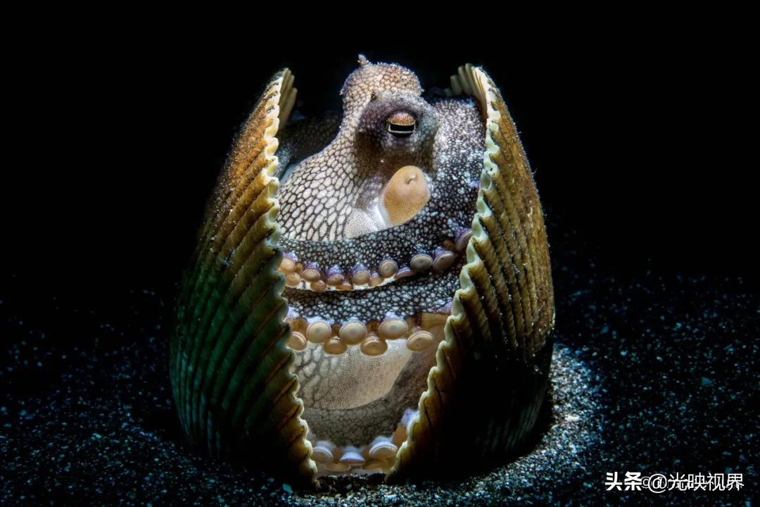 葡萄牙摄影大师获奖自然摄影作品,澳大利亚摄影师经典风景摄影作品