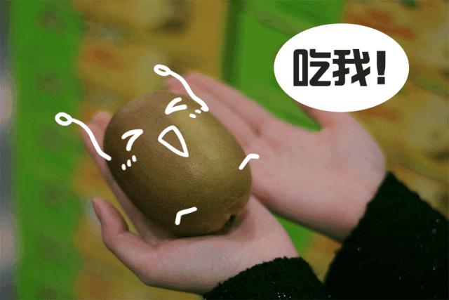 成都新增一家网红店,四川成都网红会员商店