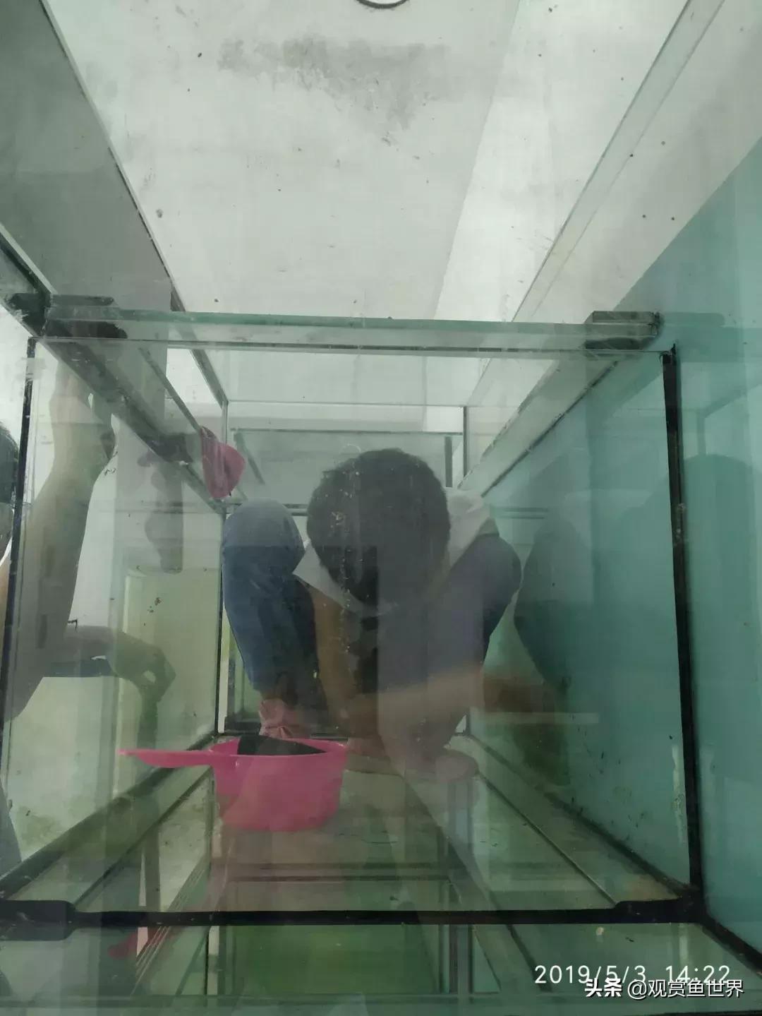 梦想的三湖世界持续建设中……方位:中国天津