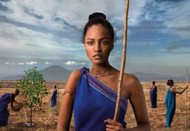 塞内加尔丨你不知道的国家冷知识