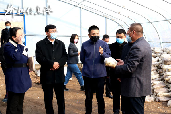 心系贫困户,长春市委常委、宣传部部长赵明到榆树康甲村民主村调研脱贫攻坚工作