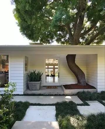 室内做的景观,室内景观打造过程