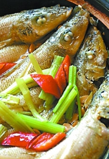 海南野生刀鳅鱼,野生刀鳅鱼