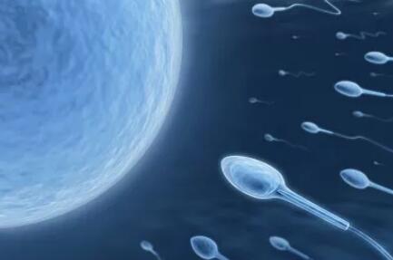 试管婴儿常识知识,准备做试管婴儿你知道流程步骤吗