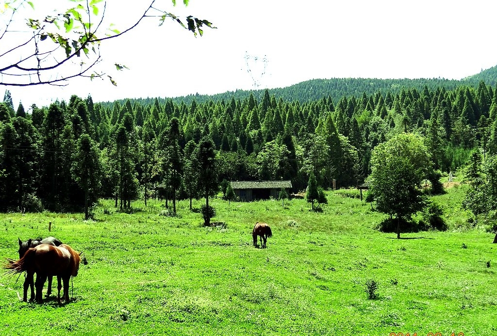 重庆人去哪里避暑最合适,重庆人适合出去避暑地方推荐