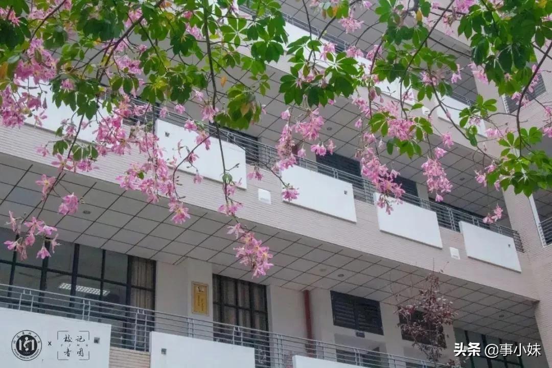 福医大上学怎么样,我劝你千万不要惹学医的女生