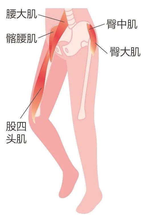慢跑如何瘦得快,坚持慢跑多久能瘦
