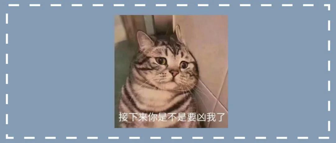 女孩儿养猫十天变秃头,养猫怎么防止得猫癣