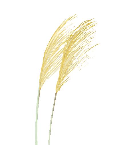 jk制服变化趋势,jk制服属于二次元吗