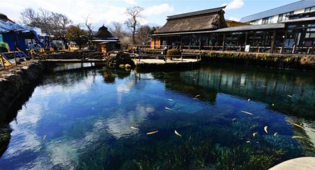 第一次去日本应该怎么办理出境,第一次去日本应该去哪里