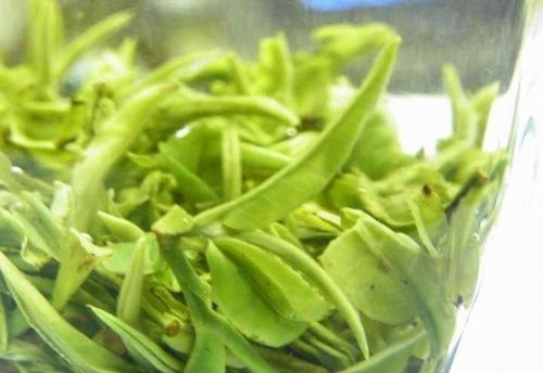 庐山云雾茶很香的茶是什么,具有天然馥郁兰花香的茶