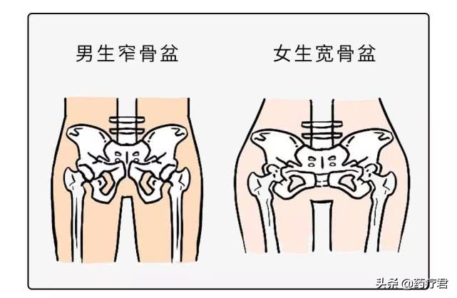 为什么男生的屁股比较翘,男生屁股翘的原因