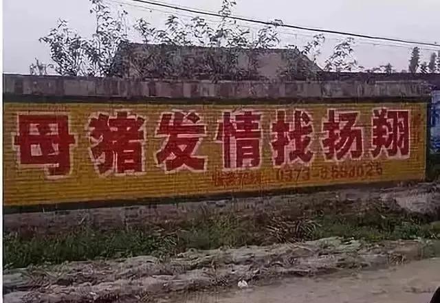 从没有一个国家像中国一样，把所有的秘密都摆到了“墙”面上