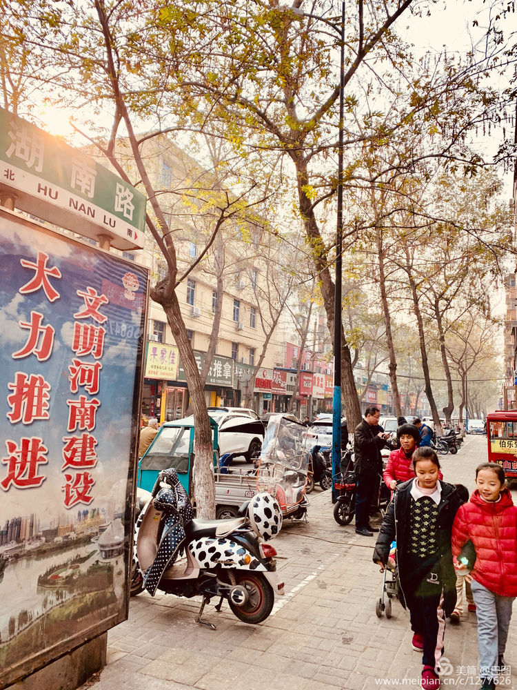 涧西牡丹广场老照片,洛阳牡丹手机拍照